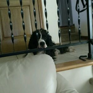 Meet your Posher, Shawn